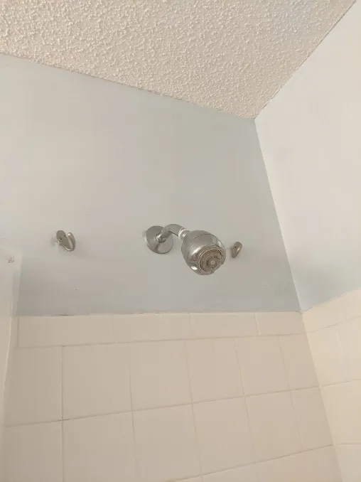 Hooks either side of a shower head, to hold a basket of soap presumably